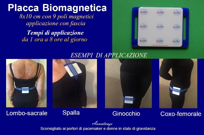 biomagneti