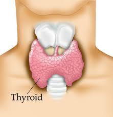 terapia naturale tiroidite